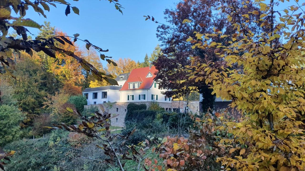 Hotel Gut Lindenfels Blieskastel Exterior foto